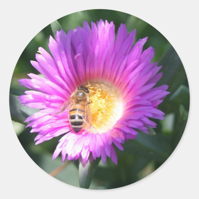 Adesivo Abelha de mel na flor rosa (Frente)