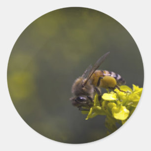 Adesivo Abelha Ocupada