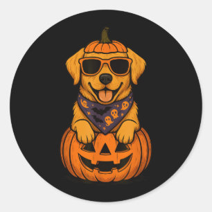 Adesivo Abóbora de Halloween do Labrador Retriever Amarelo