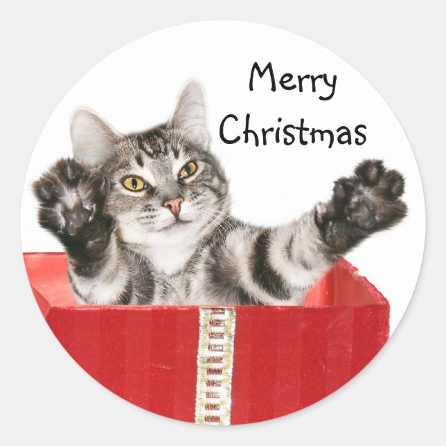Adesivo Abraço de Natal do gatinho (Frente)