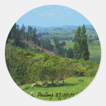 Abundância do Pau de Paz