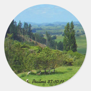 Adesivo Abundância do Pau de Paz