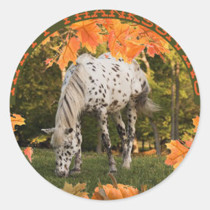 Adesivo Acção de graças do Appaloosa