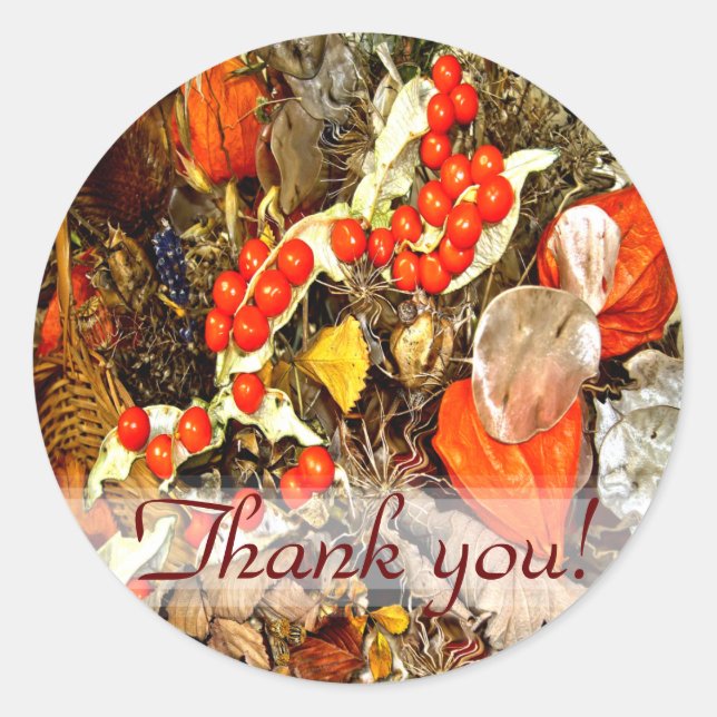 Adesivo ACORDO DO OUTONO ~ Seladores/adesivos de envelopes (Frente)