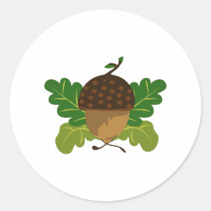 Adesivo Acorn