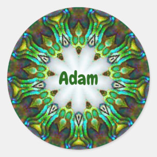 Adesivo ADAM ~ Personalizado Paua Shell Fractal ~