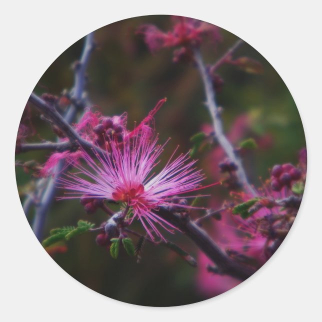 Adesivo adesivo-duster-peludo rosa (Frente)