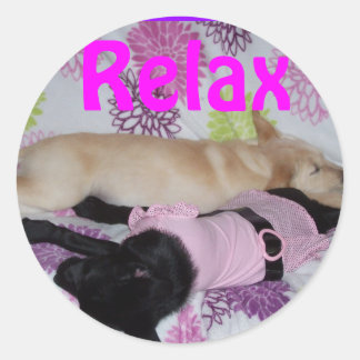 Adesivo adesivo, relaxe