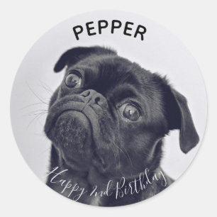 Adesivo Adicionar a sua própria fotografia Pet Birthday n