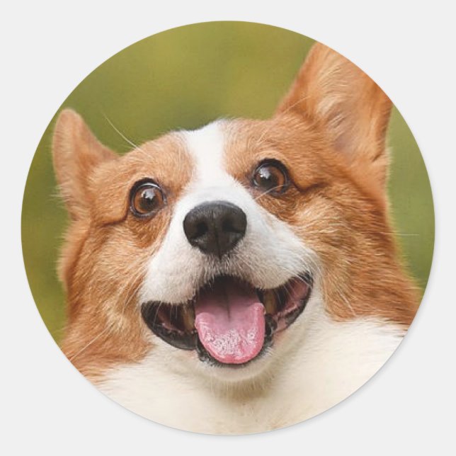 Adesivo Adicionar Foto de Cão Personalizada Personalizada (Frente)