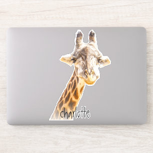 Adesivo Adicionar Nome Grinning Giraffe Cute Fotografia Mo
