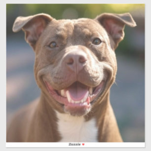 Adesivo Adicionar Personalização de Foto Bull de Pit
