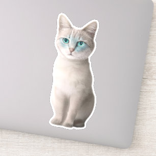 Adesivo Adorable Ojos Azules Cat Sticker - Personalizável