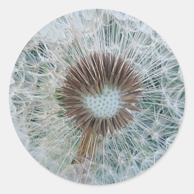Adesivo Adorável Dandelion Branco (Frente)