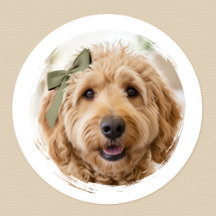Adorável Foto Personalizada de Cachorro Pet Modern