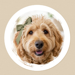 Adesivo Adorável Foto Personalizada de Cachorro Pet Modern