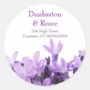 Adesivo Adorável Violetas Stickers