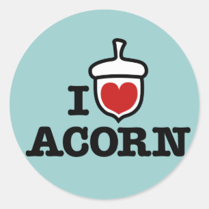 Adesivo Adoro Acorn Sticker