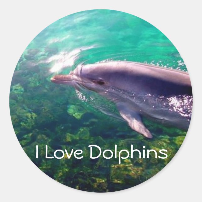 Adesivo Adoro Dophins Sticker (Frente)