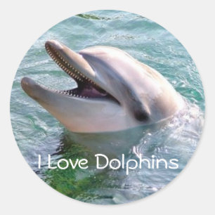 Adesivo Adoro Dophins Sticker