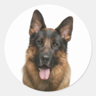 Adesivo Adoro German shepherd Puppy Dog Stickers