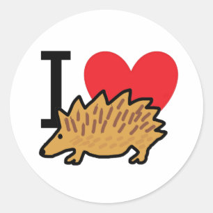 Adesivo Adoro Hedgehogs