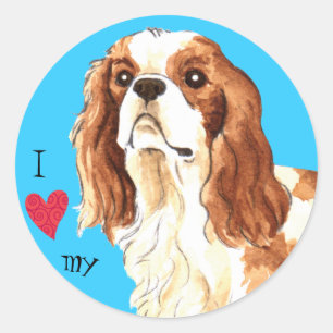 Adesivo Adoro o meu cavaleiro