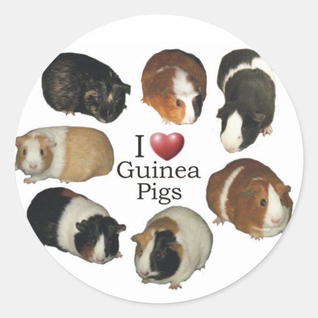 Adesivo Adoro Pig Stickers (Frente)