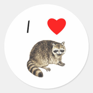 Adesivo Adoro Raccoons