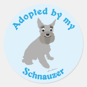 Adesivo Adotado por meu Schnauzer