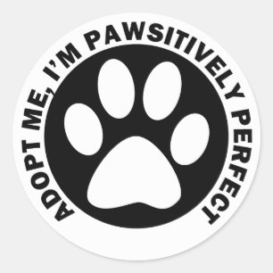Adesivo Adote-me, mim são Pawsitively perfeito