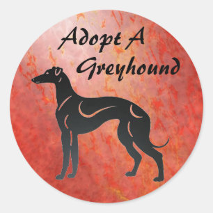 Adesivo Adote um cão do galgo