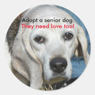 Adesivo Adote um cão superior. Precisam o amor demasiado!
