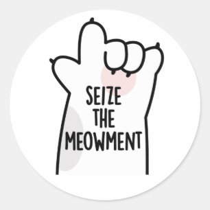 Adesivo Agarre O Momento Pun Positivo De Gato