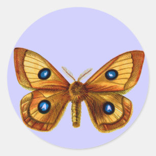 Adesivo Aglia Tau