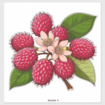 Aglomerado de Rambutã Brilhante com Flores Rosas
