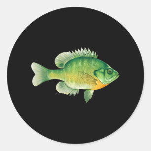 Adesivo Água fresca de Bream da Ilustração de Pesca Bluegi