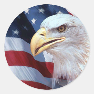 Adesivo Águia Americana