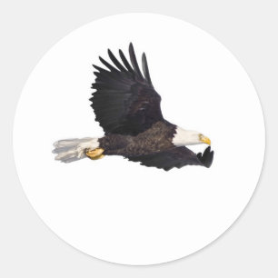 Adesivo Águia americana americana