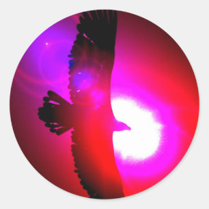 Adesivo Águia americana americana