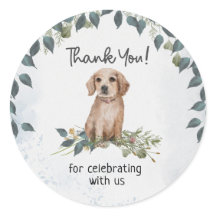 Ah, garoto! Retriever Puppy Dog Obrigado