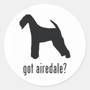 Adesivo Airedale Terrier