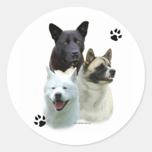 Adesivo Akita Trio - Sticker