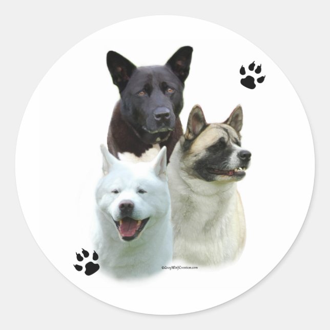 Adesivo Akita Trio - Sticker (Frente)