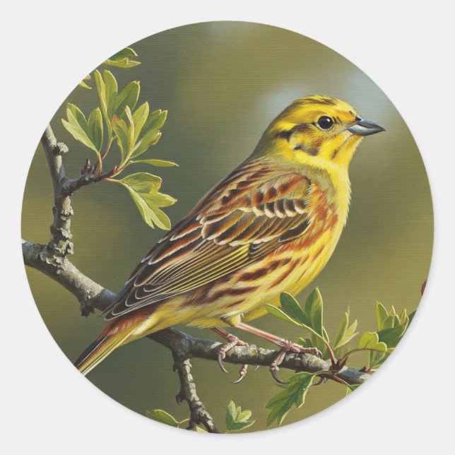 Adesivo Alabama State Bird Yellowhammer (Frente)