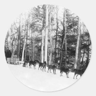 Adesivo Alaska Dog Sledim