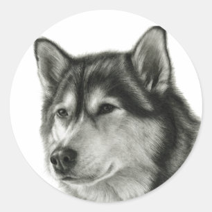 Adesivo Alaskan Malamute