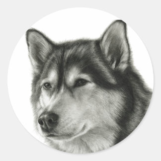 Adesivo Alaskan Malamute