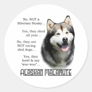 Adesivo Alaskan Malamute FAQ Sticker
