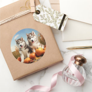 Adesivo Alaskan Malamute Puppy Autumn Delight Pumpkin